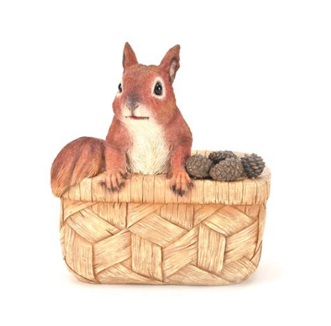 Squirrel In A Basket Planter