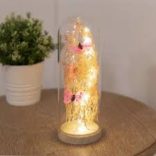 LED Light Up Glass Dome - Pink Butterfly