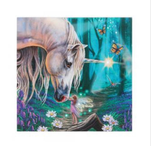 Fairy Whispers Light Up Canvas
