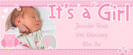 Personalised New Baby Girl Banner