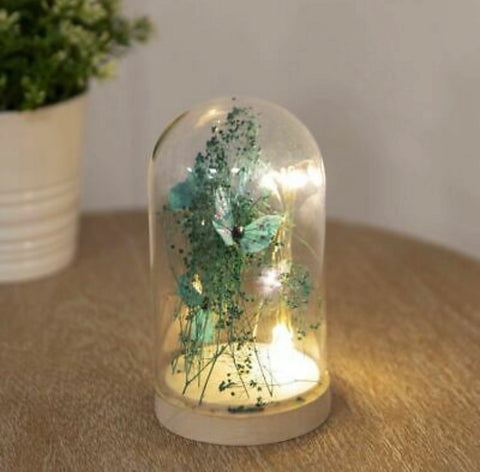 LED Light Up Glass Dome - Teal Butterfly