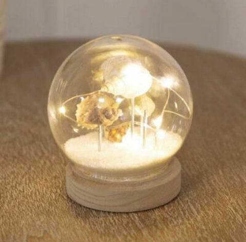 LED Light Up Glass Orb - Sea Shell