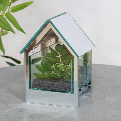 Glass House Terrarium Ornament With LED Lights