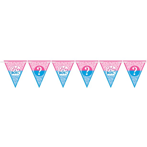 Gender Reveal Flag Banner