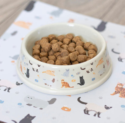 Cat Print Food Bowl