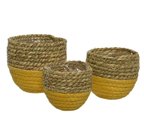 Set of 3 Seagrass Round Baskets