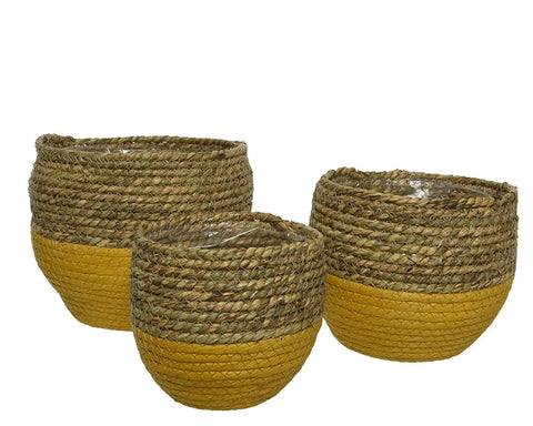 Set of 3 Seagrass Round Baskets