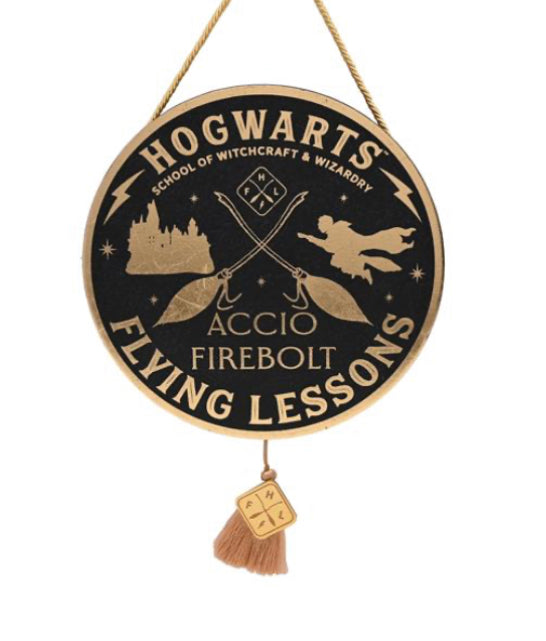 Flying Lesson Alumni Pendant