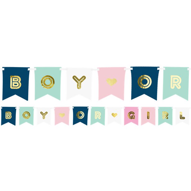 Boy Or Girl Banner